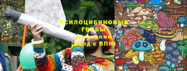 spice Гусев