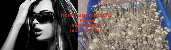 скорость Вяземский