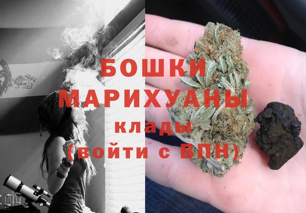spice Гусев