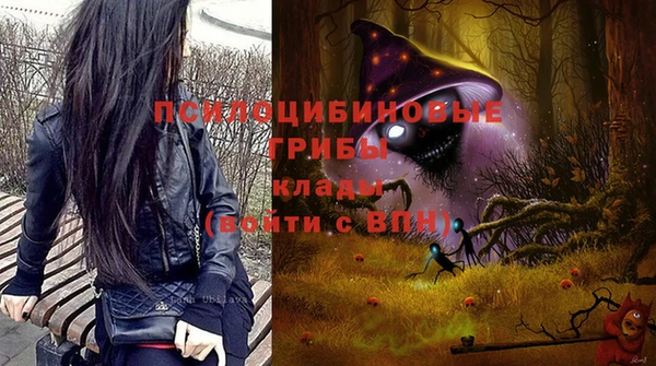 гашик Гусиноозёрск