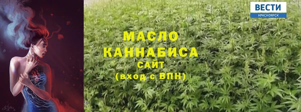 spice Гусев