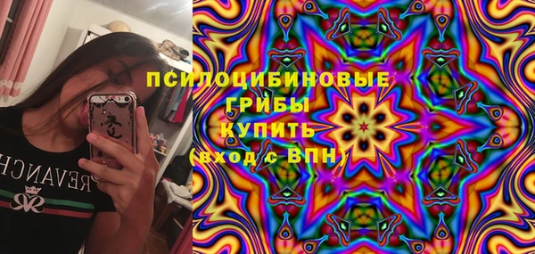 скорость Вяземский